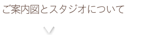 ガイド