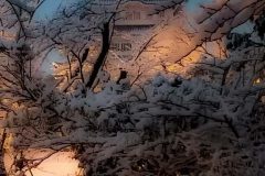 03_04