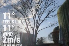 IMG_20250131_152019015