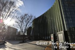 PXL_20250131_062129070_1
