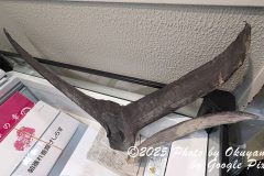 PXL_20250207_004531617_1