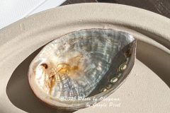PXL_20250207_015835730_1