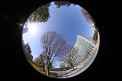 5D3_0381