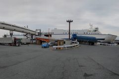 PXL_20240328_080121386.PANO_1