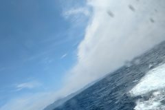 PXL_20240329_021029136_1