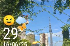 IMG_20250616_163559720