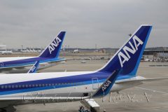 wing_let
