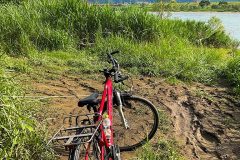IMG_1811_1