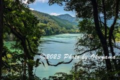 PXL_20230704_040350233.MP_1
