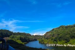 PXL_20230914_063113539_1
