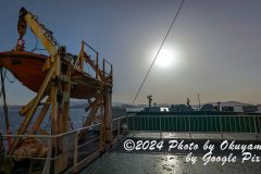 PXL_20240329_074428797_1