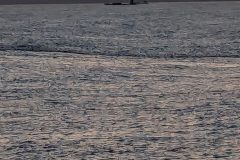 PXL_20240329_091257487_1