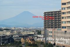 PXL_20251013_001725206_1