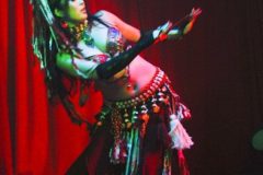 IMG_8427