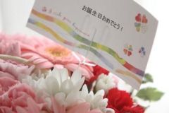 Okuyama-205106256234672