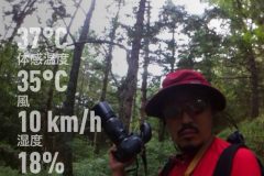 weather