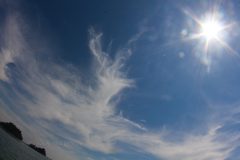 IMG_8932_1_1