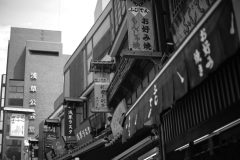 5D3_8844_s