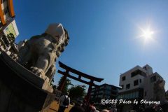 IMG_8321_1