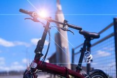 PXL_20220810_044537396_2