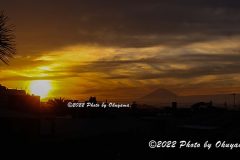 1D4_7245_2